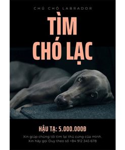Tờ rơi tìm chó lạc
