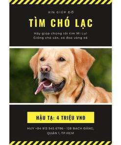 Tờ rơi tìm chó lạc