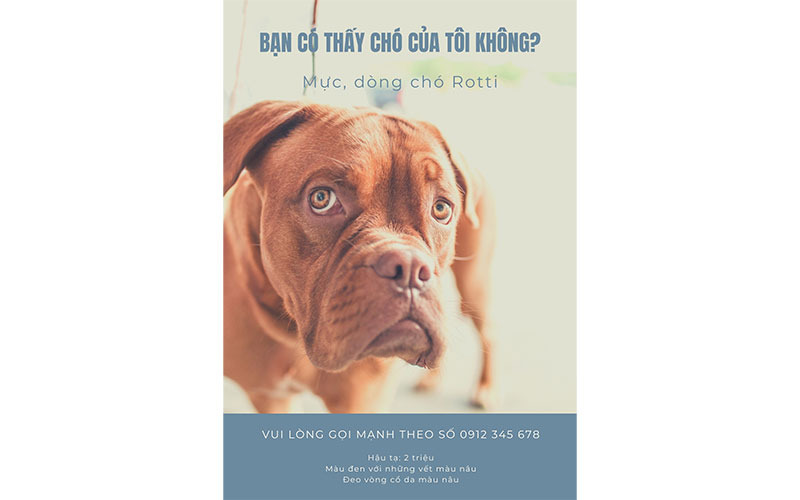 Tờ rơi tìm chó lạc